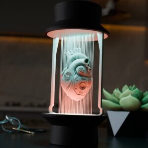 dolphin string lamp
