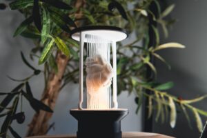 dolphin string lamp
