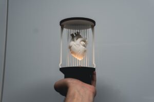 dolphin string lamp