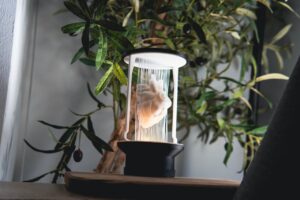 dolphin string lamp