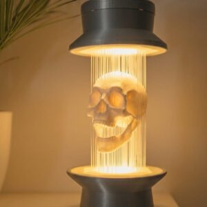 skull string lamp