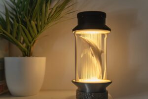 dolphin string lamp